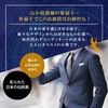 Osaka Choseido Folding Fan, Men's, Stylish, Business, Folding Bag, Handkerchief