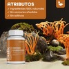 BULK SUPERFOOD Hongo Cordyceps en Cápsulas - 60 Cápsulas -