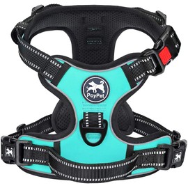 PoyPet No Pull Dog Harness, No Choke Reflective Oxford Outdoor Vest, Adjustable Pet Harnesses with 2 Leash Clips, Easy Control Padded Handle for Small Medium Large Dogs (Mint Blue,S)