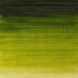 Winsor & Newton Winton Oil Color Paint, 37-ml Tube, Sap Green