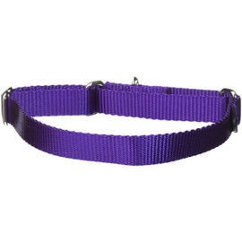 PetSafe Adjustable Martingale Collar - Only Tightens When Dogs Pull, Prevents Slipping Out - Helps with Strong Pullers, Increased Control - Alternative to Choke Collar - 3/4", Medium, Deep Purple