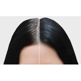 Retocador Instantáneo De Canas Sheló Rubio Negro Castaño
