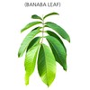 Organic Natural Pure Banaba Leaf Tea Bag- 50 Tea Bag