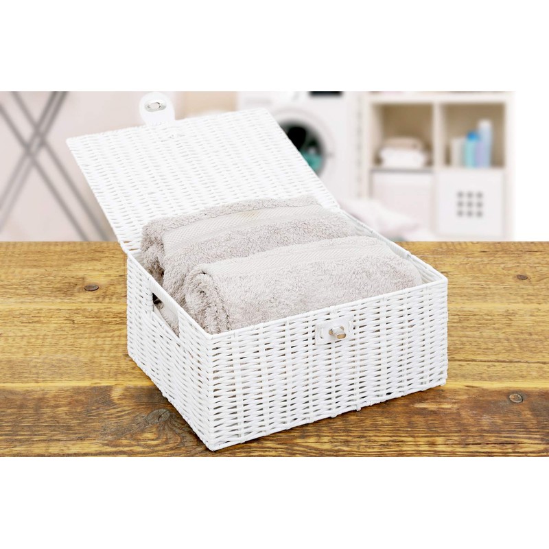 Arpan Medium Resin Woven Storage Basket Box with Lid &