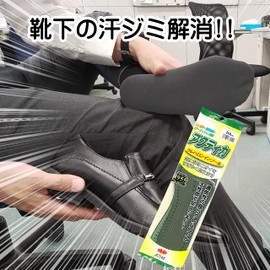 Actika Basic Insole, Activated Carbon, Stuffiness, Deodorizing, 9.6 - 11.0 inches (24.5 - 28 cm), Braun