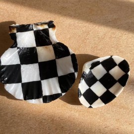 Hand Painted Checkerboard Seashell