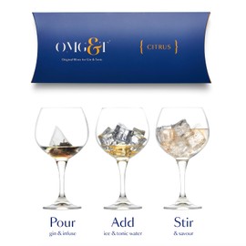 OMG&T Ginfusions - Heavenly Citrus Infusion Bags - Flavour Gin & Tonic in Minutes with Delicious Infusion Bags - Natural Ingredients - Pack of 9 (Citrus)