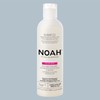 Noah 1.6 Colour Protection Shampoo with Rice Phytok Eratin 250 ml by