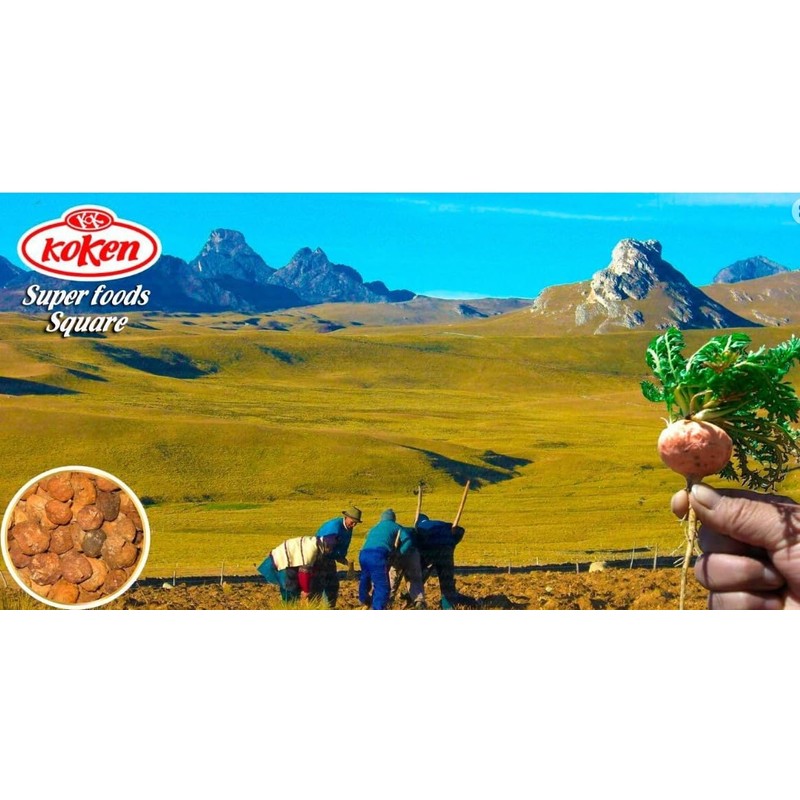 光健 発酵黒マカーリック マカ にんにく 亜鉛酵母 サプリ 120粒 約30日分