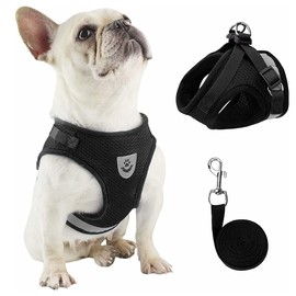 NC Mesh Dog Harness, Leash with Reflective Material, Leash Set, Ultra Small Dogs, Puppies, Cats, Walks, Training, Going Out, Pets, Safe, Non-Shedding, Lightweight, Adjustable, Breathable