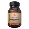 Essential Nutrition, Fucoxantina 30 Cápsulas Veganas de 500 mg