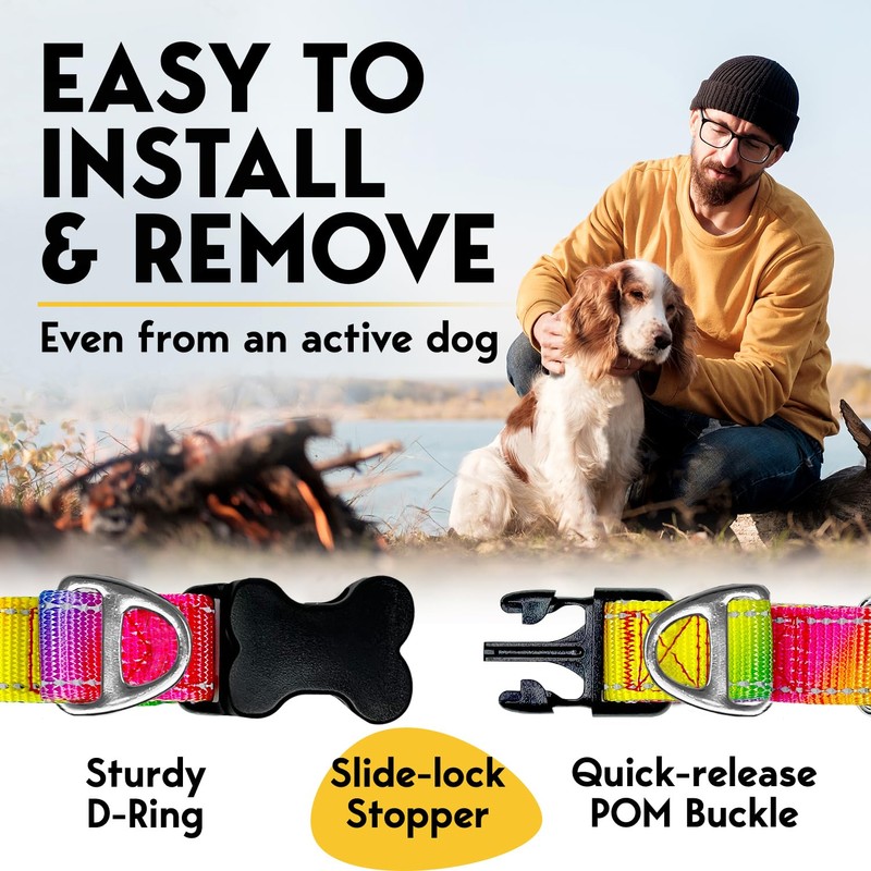 Adjustable No Pull Dog Traning Collar with Buckle for Small