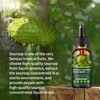 Soursop Graviola Liquid Drops 2000mg, 98% Absorption for Cell Support