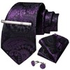DiBanGu Silk Paisley Ties for Men Woven Necktie and Pocket