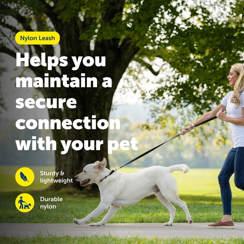 PetSafe Nylon Leash - Strong Nylon for Everyday Walks -