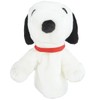 Light Newsnoopy DR H-150