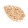 Photo Focus Polvo Fijador Wet N Wild