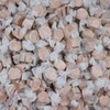Smarty Stop Salt Water Taffy Every Color (Maple, 1 Pound