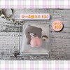 JP-SAKURA Sealing Pad Set, Sealing Pad Mini, Large, Small Set
