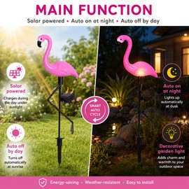 Peacock Solar Garden Light for Outdoor Decor – IP65 LED Animal Stake with Auto On/Off for Yard, Lawn & Pathway