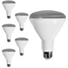 Diodesy- BR30 LED Flood Light Bulb 8W 650 Lumen E26
