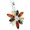 Genuine Mix Baltic Amber & Sterling Silver Large Multistone Unusual