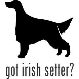Got Irish Setter Sporting Dog Hunting Pet Animal Car Truck Window Decal Sticker - Die cut vinyl decal for windows, cars, trucks, tool boxes, laptops, MacBook - virtually any hard, smooth surface