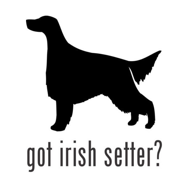 Got Irish Setter Sporting Dog Hunting Pet Animal Car Truck