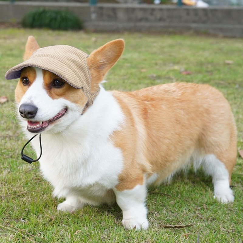 Dog Baseball Cap, Dog Cat Summer Beach Visor Hat with