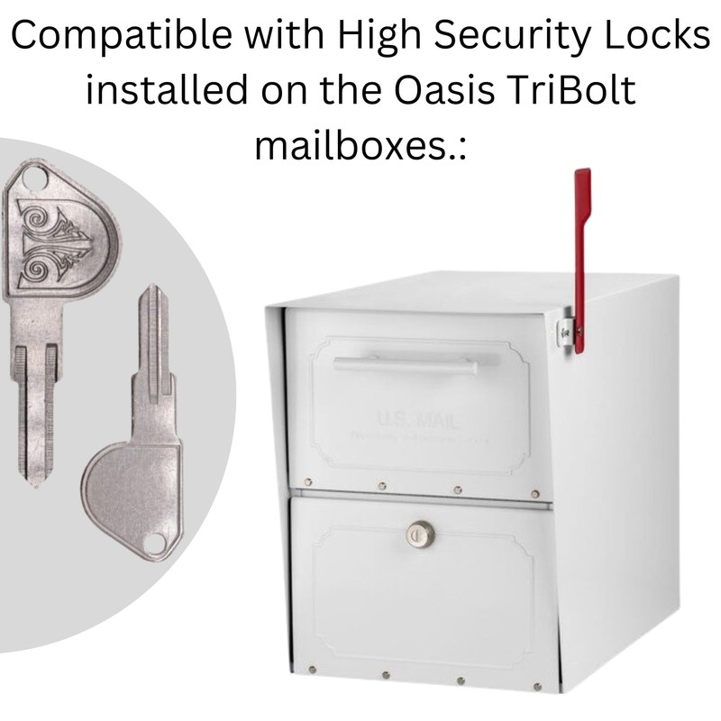 Architectural Mailboxes 5143 Replacement Key Blank with Design for High