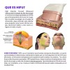 Aqua Aesthetics Mini Hifu Portatil Radiofrecuencia Ultrasonido Rf Facial V2