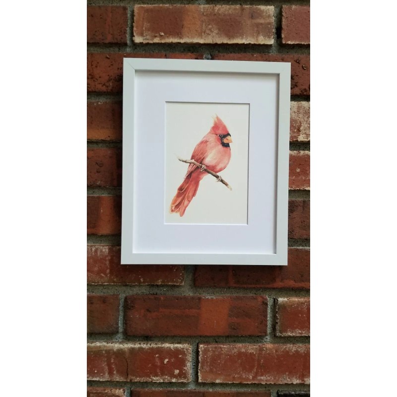 Red Cardinal. Print of an original watercolor painting. 5x7"with white