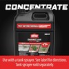 Ortho GroundClear Year Long Vegetation Killer2 Concentrate, Kills and Prevents