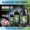 MICROBE-LIFT MICROBE-LIFT ALGA08 Algaway 5.4 Algae Control Treatment for Ponds