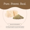 Real Mushrooms Real Mushrooms Lions Mane Powder - Organic Mushroom