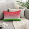 HOSNYE Watermelons Throw Pillow Cover Summer Fruit Watermelon Slice with