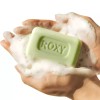 L'Occitane 달란 록시 올리브 오일 뷰티솝 70g 4개입 Dallan Loccy