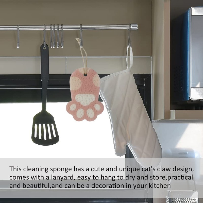 Ctpeng Kitchen Reusable Dish Cleaning Sponge Scrub Set of 2