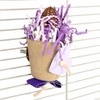 HappyBird Mahogany Cup Natural Nibble Toy for Wall Mounting, Purple/White,