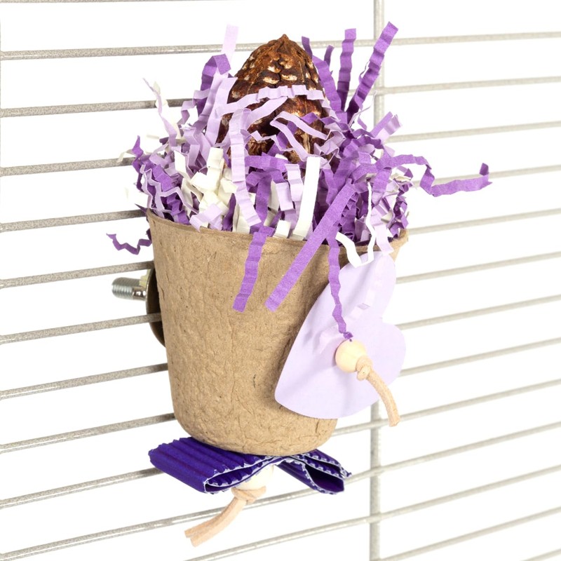 HappyBird Mahogany Cup Natural Nibble Toy for Wall Mounting, Purple/White,