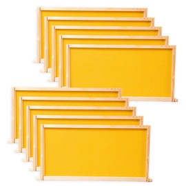 BeeCastle 10 Pack Beehive Frames and Wax Foundations for Deep Brood Bee Hives with Honeycombs Wooden Bee Hive Frames and Beeswax Coated Foundations, 9-1/8-Inch (Yellow)