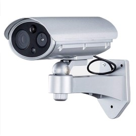 NSK Security Camera, Silver, 3.3 x 7.6 x 6.9 inches (8.48 x 19.4 x 15.1 cm), Dummy Camera, Mitsuru-kun NS-DS3269