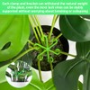 3 Sets Plant Stem Support Holder,Plants Climber Support Accessories,Climbing Vines