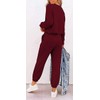 Paintcolors Women's 2 Piece Outfit Long Sleeve Crewneck Tracksuit Solid