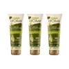 3 x Dalan d'Olive Hand and Body Cream 250 ml