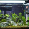 200w Termostato Acero Inox Y Termómetro Digital Para Acuario