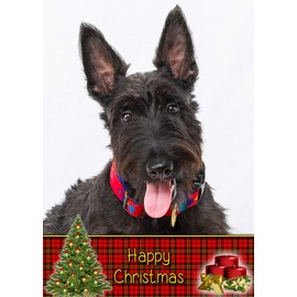 Scottie/Scottish Terrier Dog Christmas Card 'Happy Christmas' - Special Animal Xmas Card for Him Her from Pets Kids