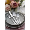 Viners Everyday Breeze 18/0 4 PCE Dessert Spoon Set