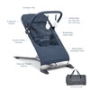 Baby Delight Alpine Deluxe Portable Bouncer, Infant, 0 – 6