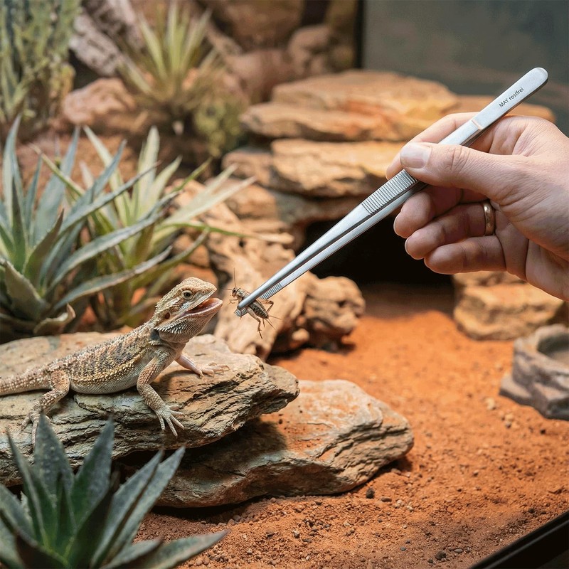 May – Terrarium Tweezers 20 cm Stainless Steel Feeding Tweezers